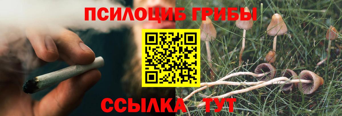 Галлюциногенные грибы GOLDEN TEACHER  Вход с VPN  Сочи 